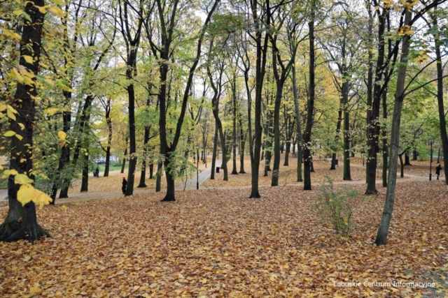 IMG_4163 Park Tysiąclecia w Zielonej Górze po remoncie