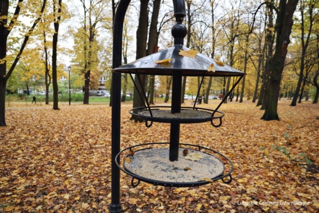 IMG_4168 Park Tysiąclecia w Zielonej Górze po remoncie