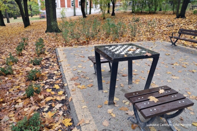 IMG_4172 Park Tysiąclecia w Zielonej Górze po remoncie