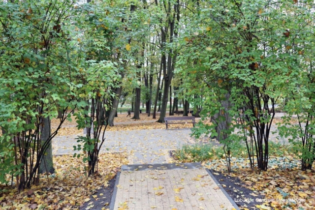 IMG_4186 Park Tysiąclecia w Zielonej Górze po remoncie