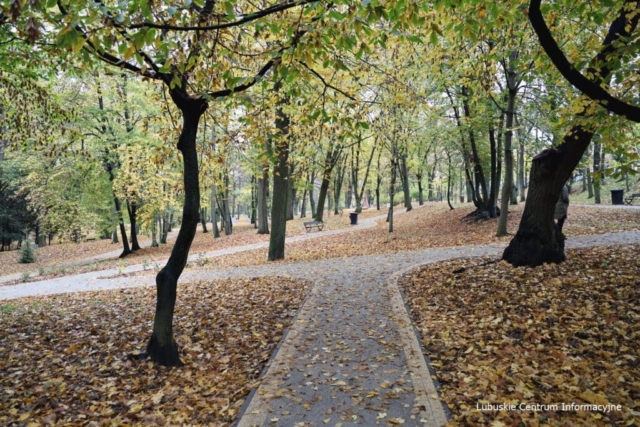 IMG_4190 Park Tysiąclecia w Zielonej Górze po remoncie