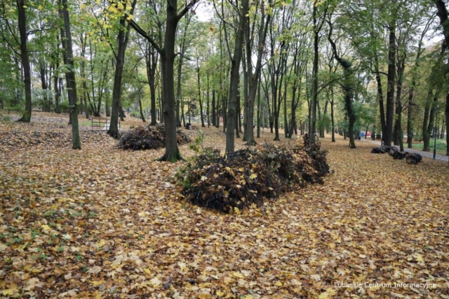 IMG_4197 Park Tysiąclecia w Zielonej Górze po remoncie