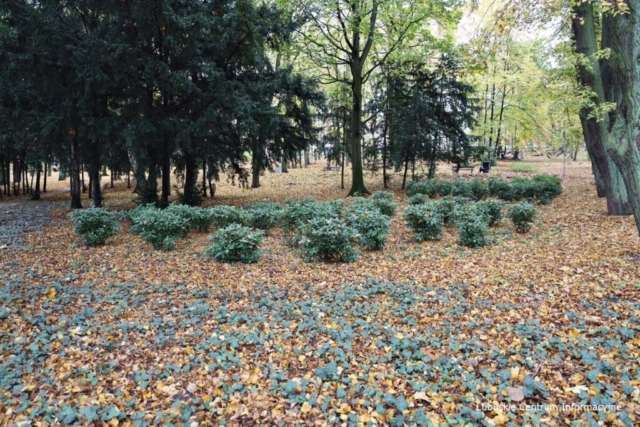 IMG_4200 Park Tysiąclecia w Zielonej Górze po remoncie