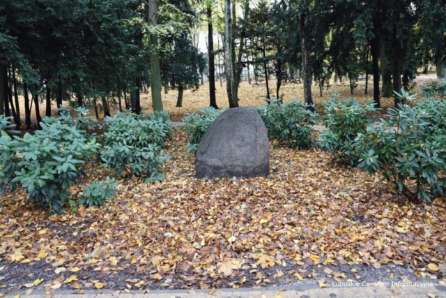 IMG_4202 Park Tysiąclecia w Zielonej Górze po remoncie