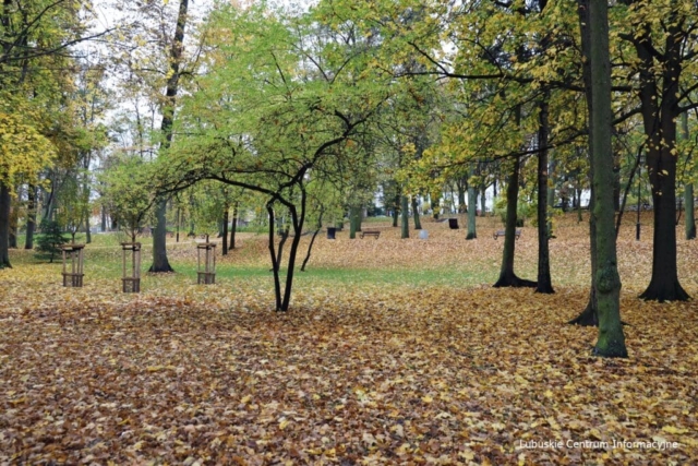IMG_4205 Park Tysiąclecia w Zielonej Górze po remoncie