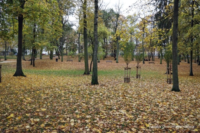 IMG_4206 Park Tysiąclecia w Zielonej Górze po remoncie