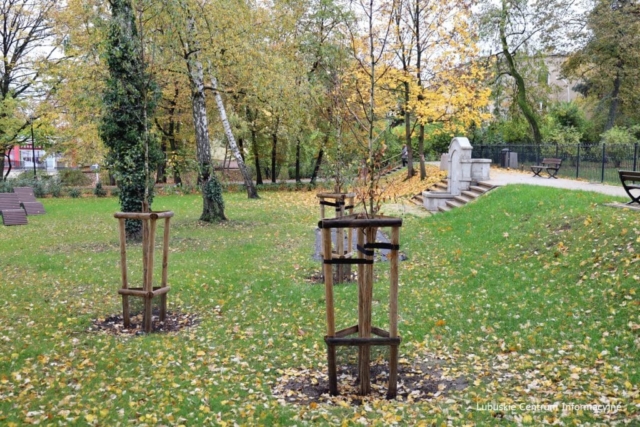 IMG_4225 Park Tysiąclecia w Zielonej Górze po remoncie