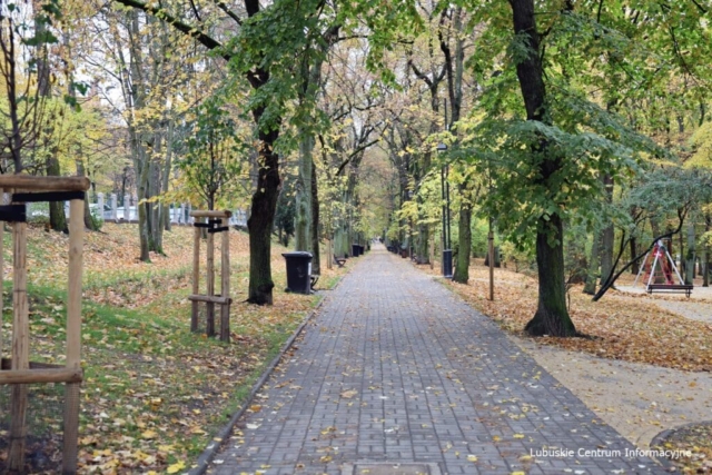 IMG_4243 Park Tysiąclecia w Zielonej Górze po remoncie