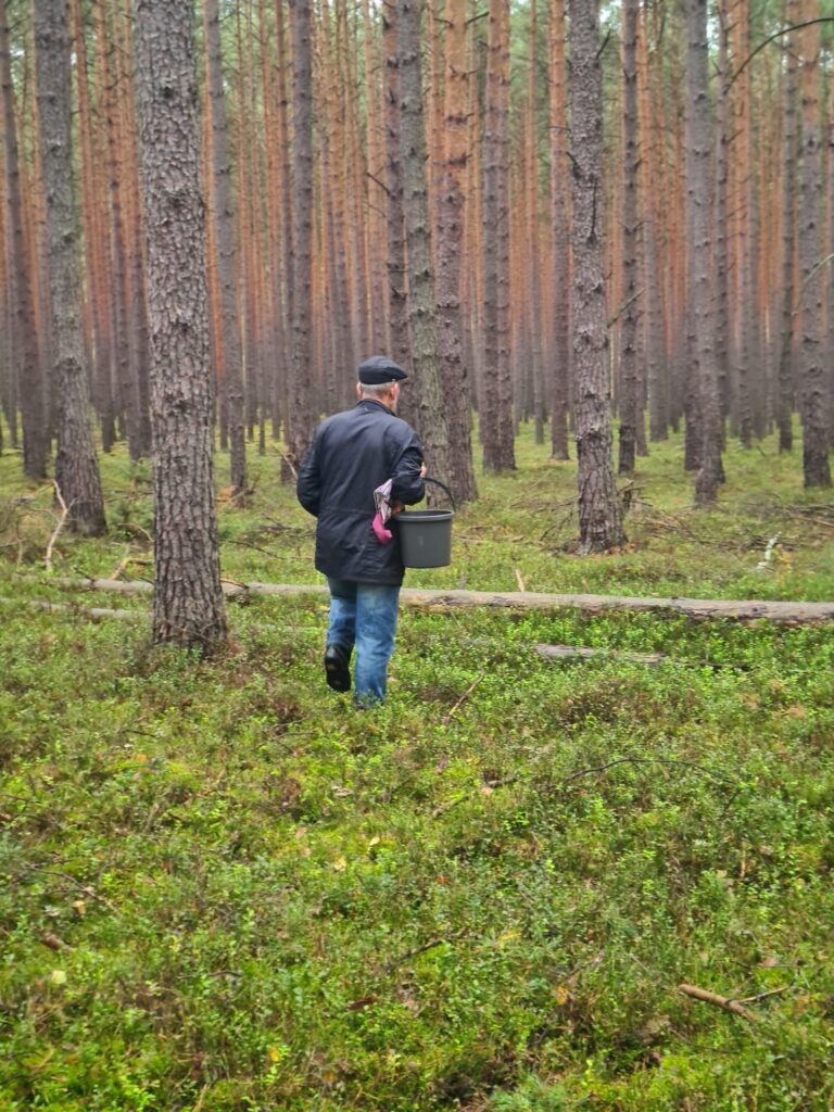 Człowiek w lesie szukający grzybów.