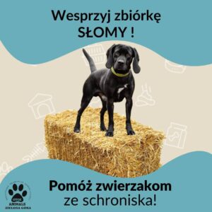 Grafika o zbiórce słomy