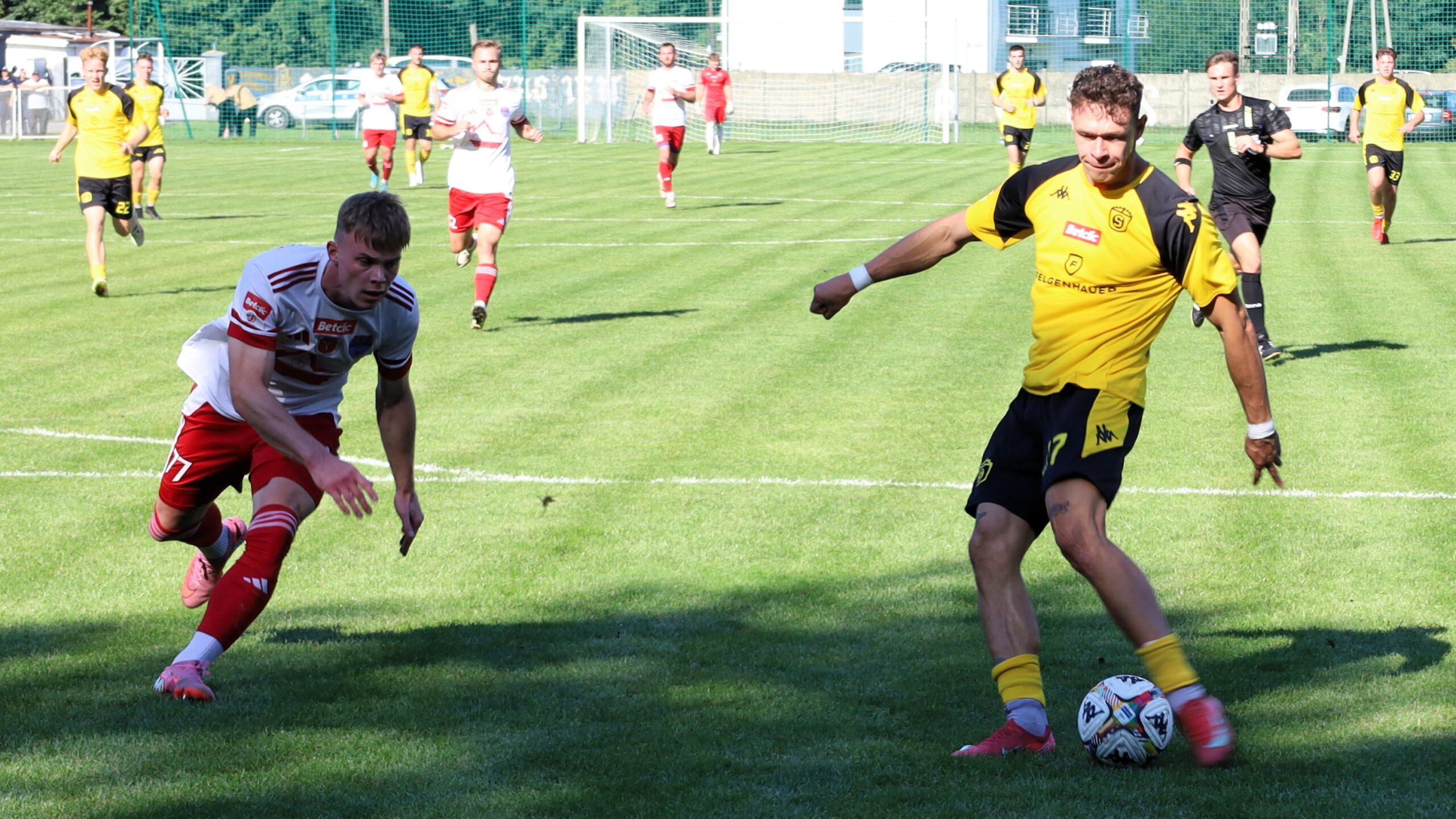 Kilkunastu mężczyzn na boisku