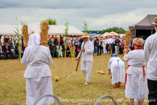 fot. Marta Jamińska-571