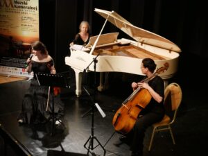 Zdjęcie: Stowarzyszenie Miłośników Muzyki Organowej i Kameralnej "Sauerianum"