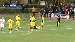 Kilkunastu mężczyzn na boisku