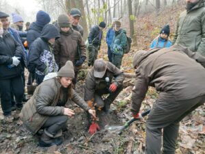 Akcja sadzenia 700 buków na 700-lecie Wieprzyc. Fot. Stowarzyszenie Nasze Wieprzyce