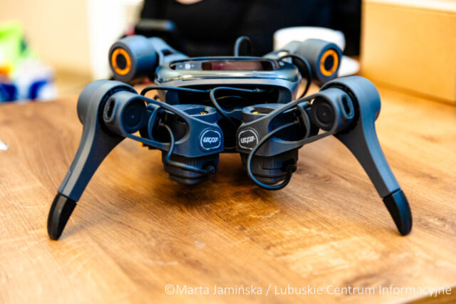 fot. Marta Jamińska-802