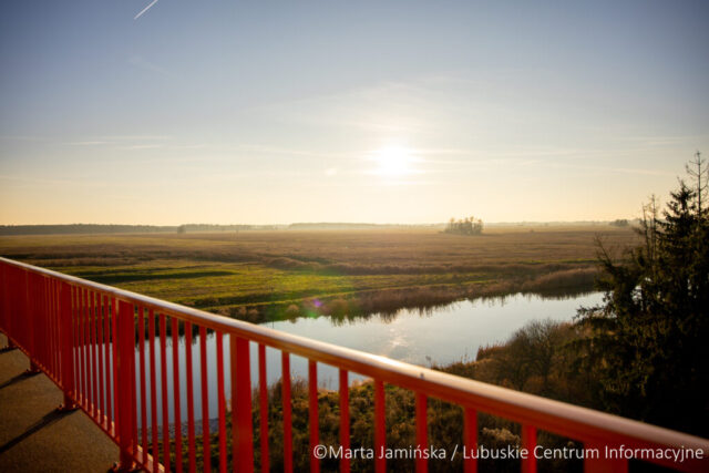 fot. Marta Jamińska-1377